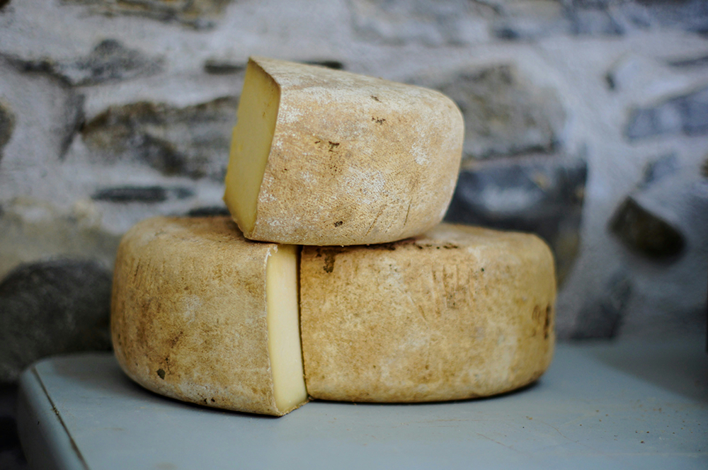 Quels besoins pour ouvrir une fromagerie - FORGEL